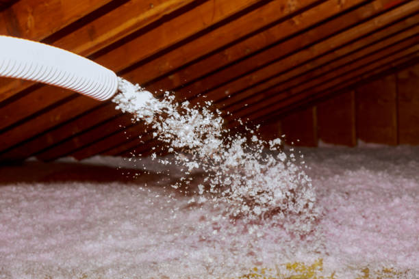 Best Blown-in Insulation  in Ely, NV