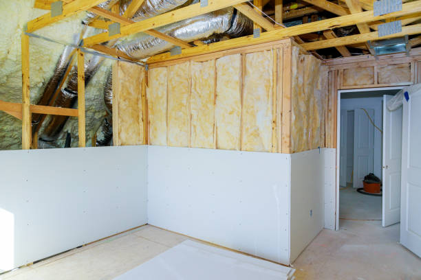 Best Insulation Replacement Services  in Ely, NV