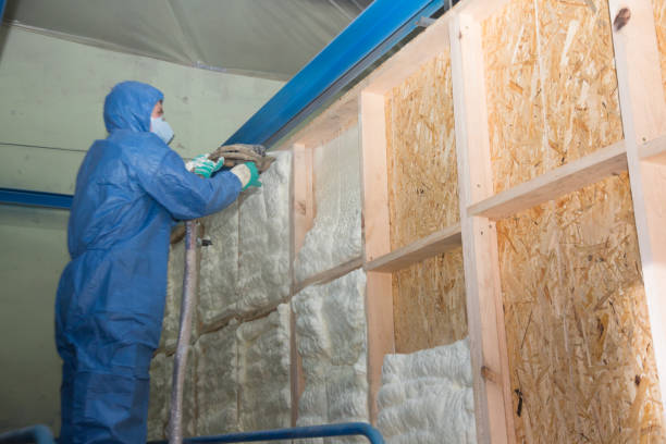 Insulation Contractors for Homes in Ely, NV